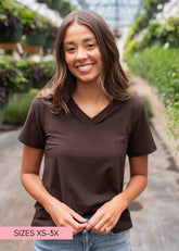 The Classic Brown V-Neck Top