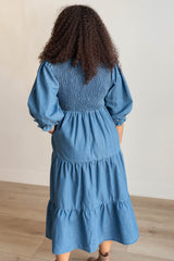 Liana Vintage Denim Dress