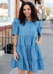 Annabel Chambray Collared Dress