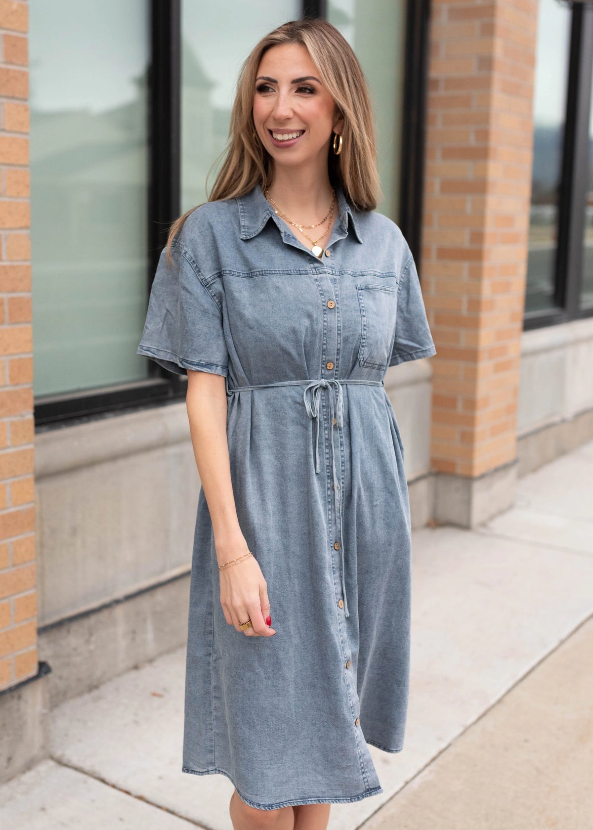 Kennedy Denim Button Up Dress