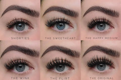The Collection 6 Pair Eyelash Set