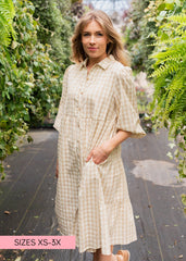 Cambree Taupe Gingham Button Down Dress