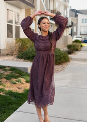 Tiana Dusty Plum Embroidred Chiffon Dress